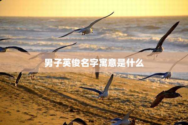 男子英俊名字寓意是什么
