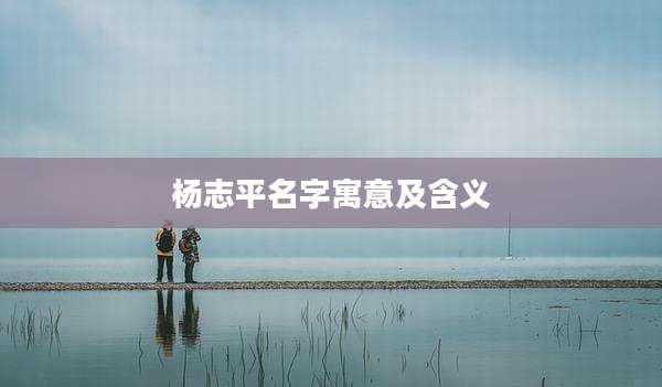 杨志平名字寓意及含义