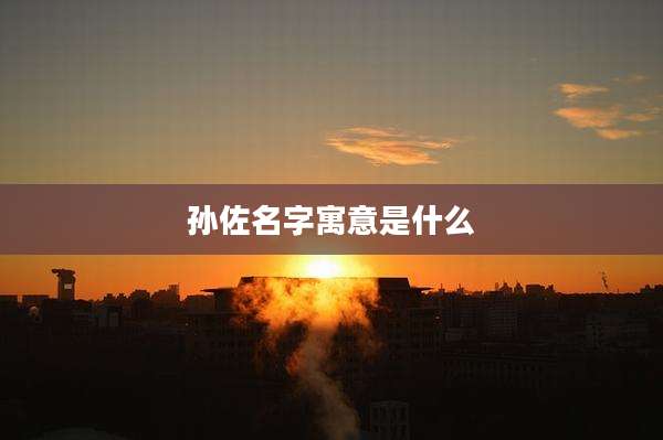 孙佐名字寓意是什么