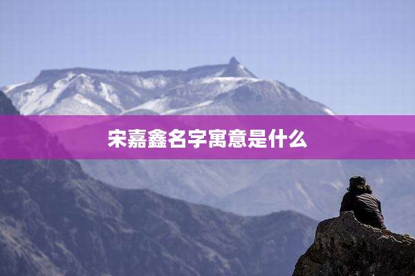 宋嘉鑫名字寓意是什么