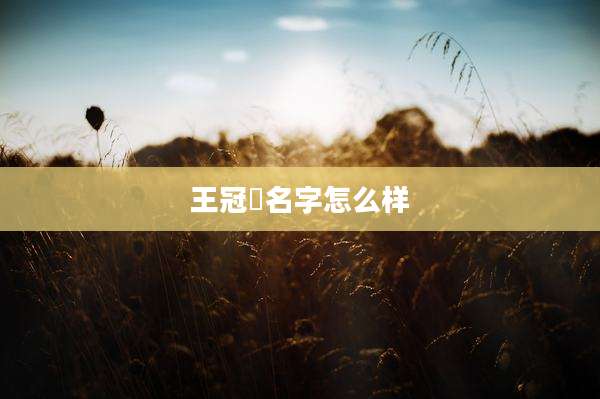 王冠淏名字怎么样