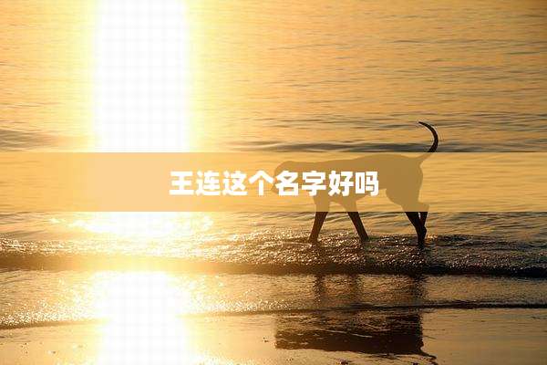王连这个名字好吗