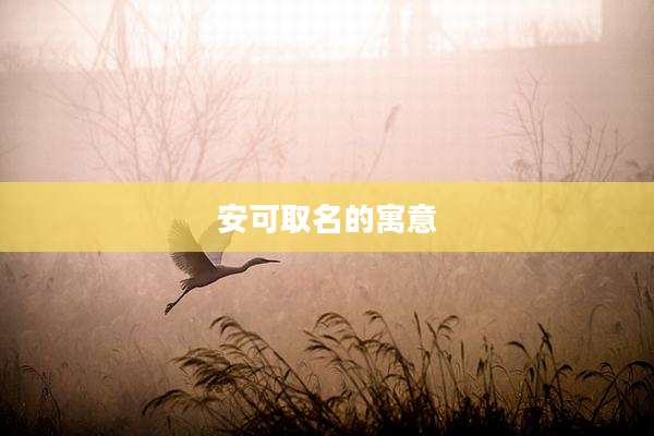 安可取名的寓意