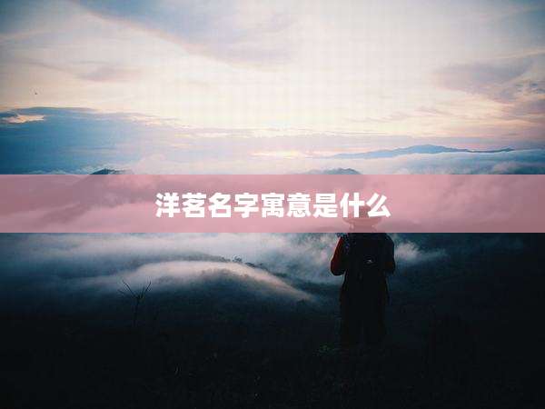 洋茗名字寓意是什么