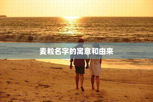 麦粒名字的寓意和由来