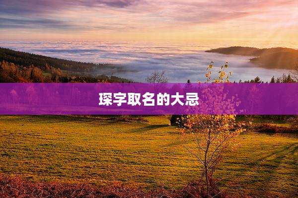 琛字取名的大忌