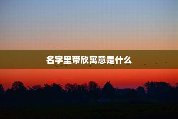 名字里带欣寓意是什么