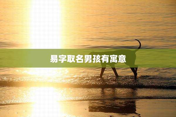 易字取名男孩有寓意