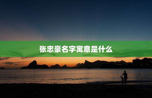 张忠豪名字寓意是什么