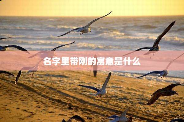 名字里带刚的寓意是什么