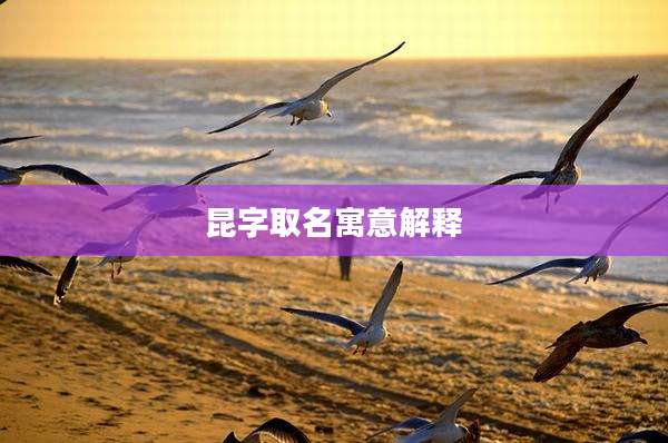 昆字取名寓意解释