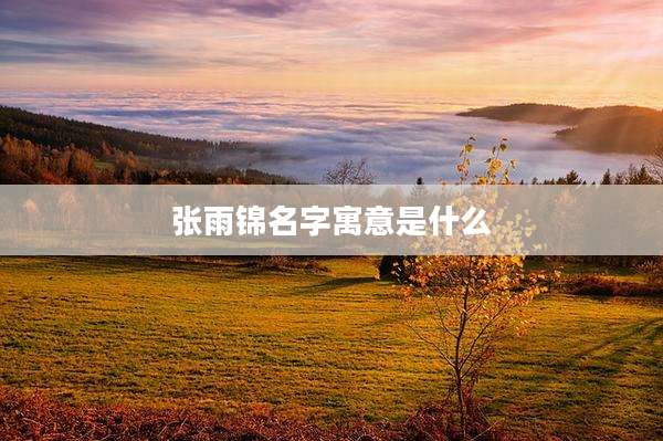 张雨锦名字寓意是什么