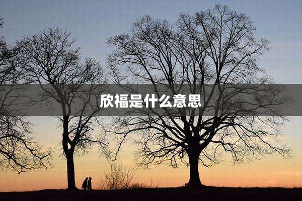 欣福是什么意思