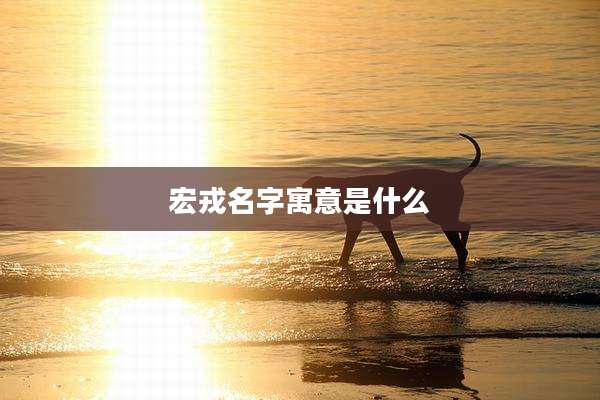 宏戎名字寓意是什么