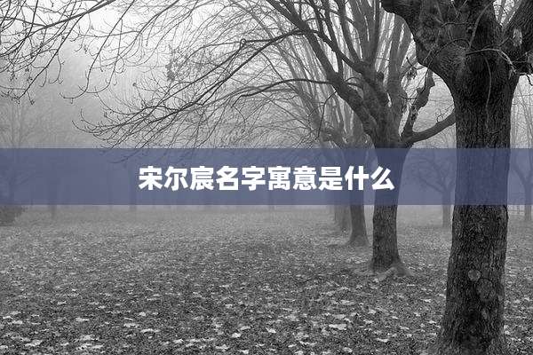 宋尔宸名字寓意是什么