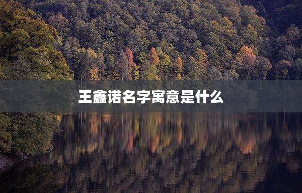王鑫诺名字寓意是什么