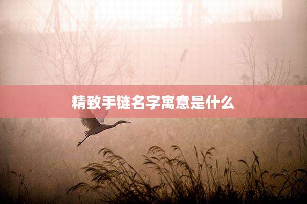 精致手链名字寓意是什么